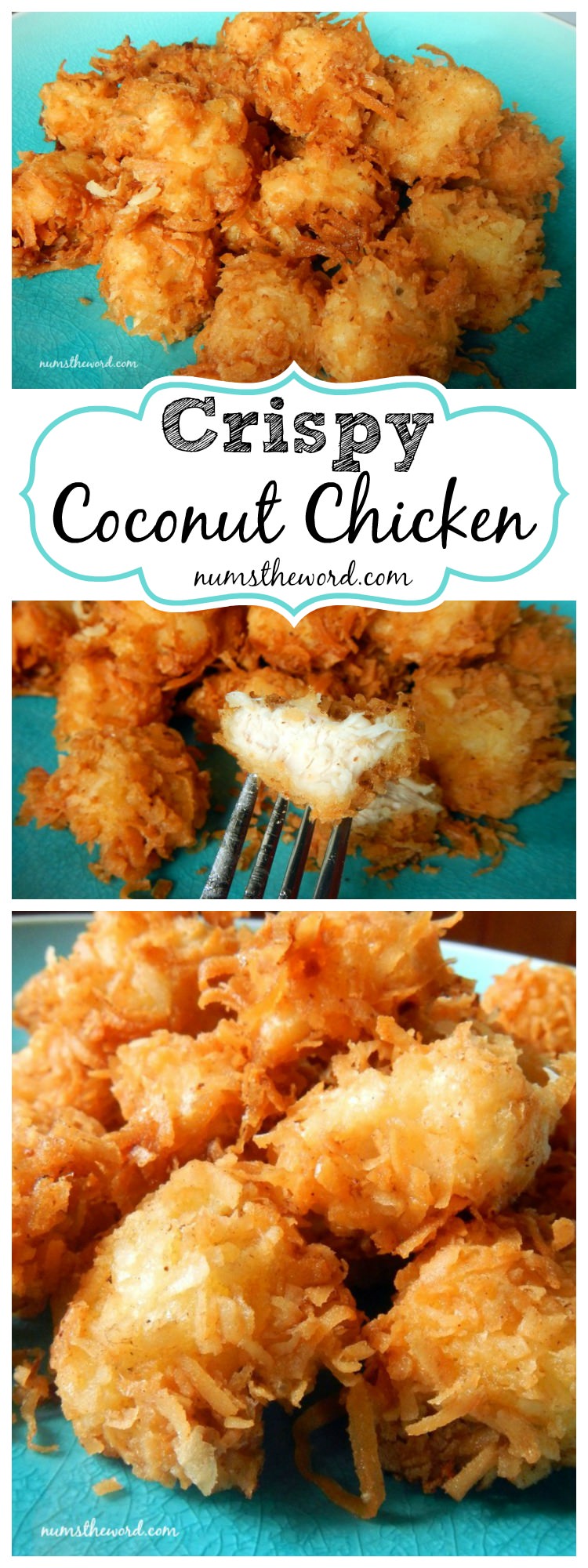 Crispy Coconut Chicken Simply Delicious ⋆ Food Curation