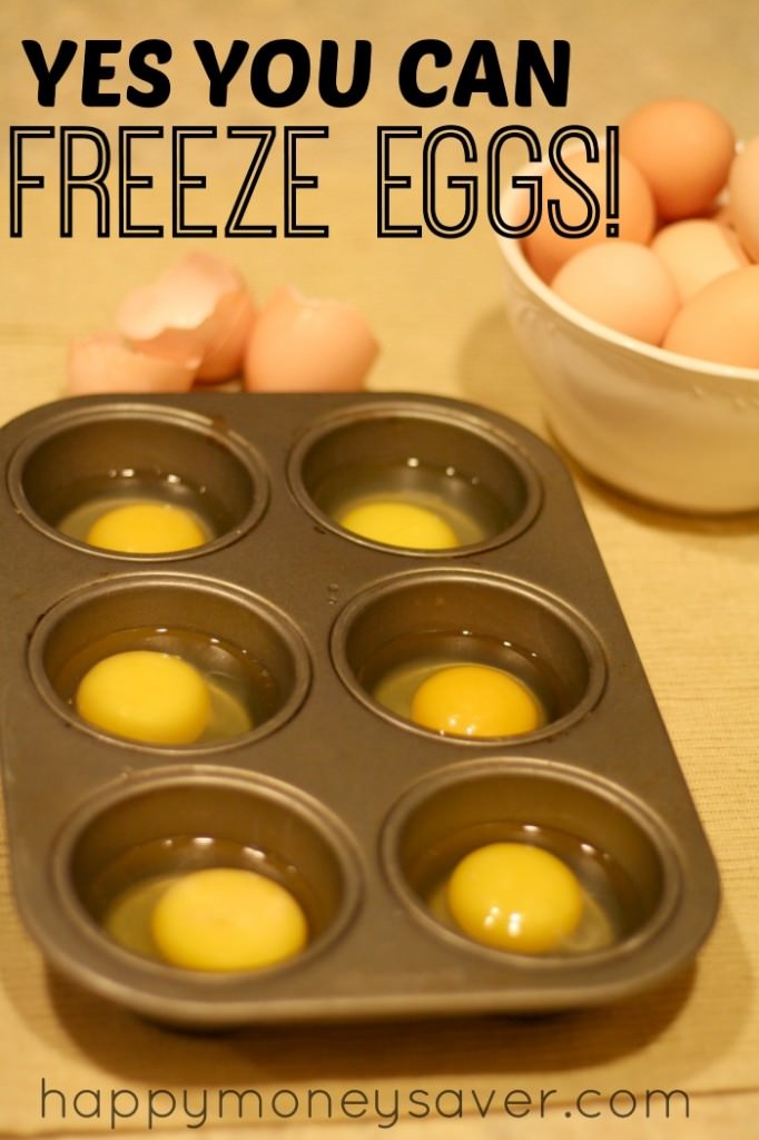 Can You Freeze Eggs Yes Here Is How To Freeze Eggs ⋆ Food Curation 