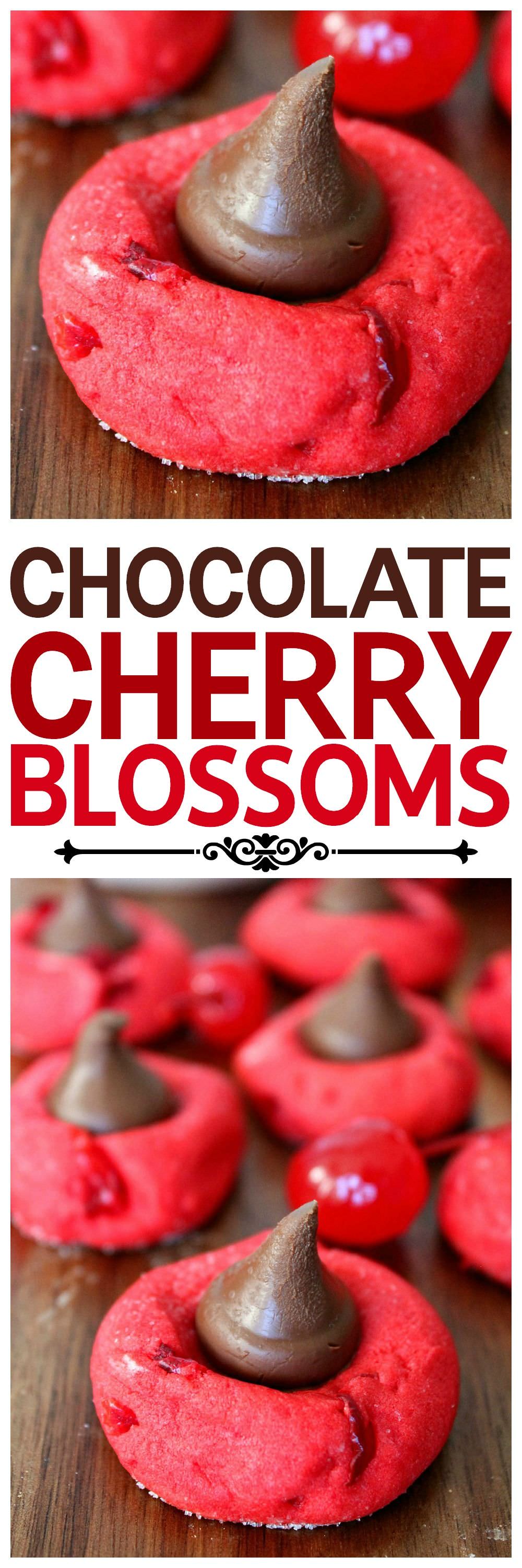 Recipe.hersheys.com Chocolate Cherry Blossoms - Find Vegetarian Recipes