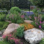 Mix-large-rocks-with-flowers-in-beds.